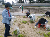 さわやか海岸清掃